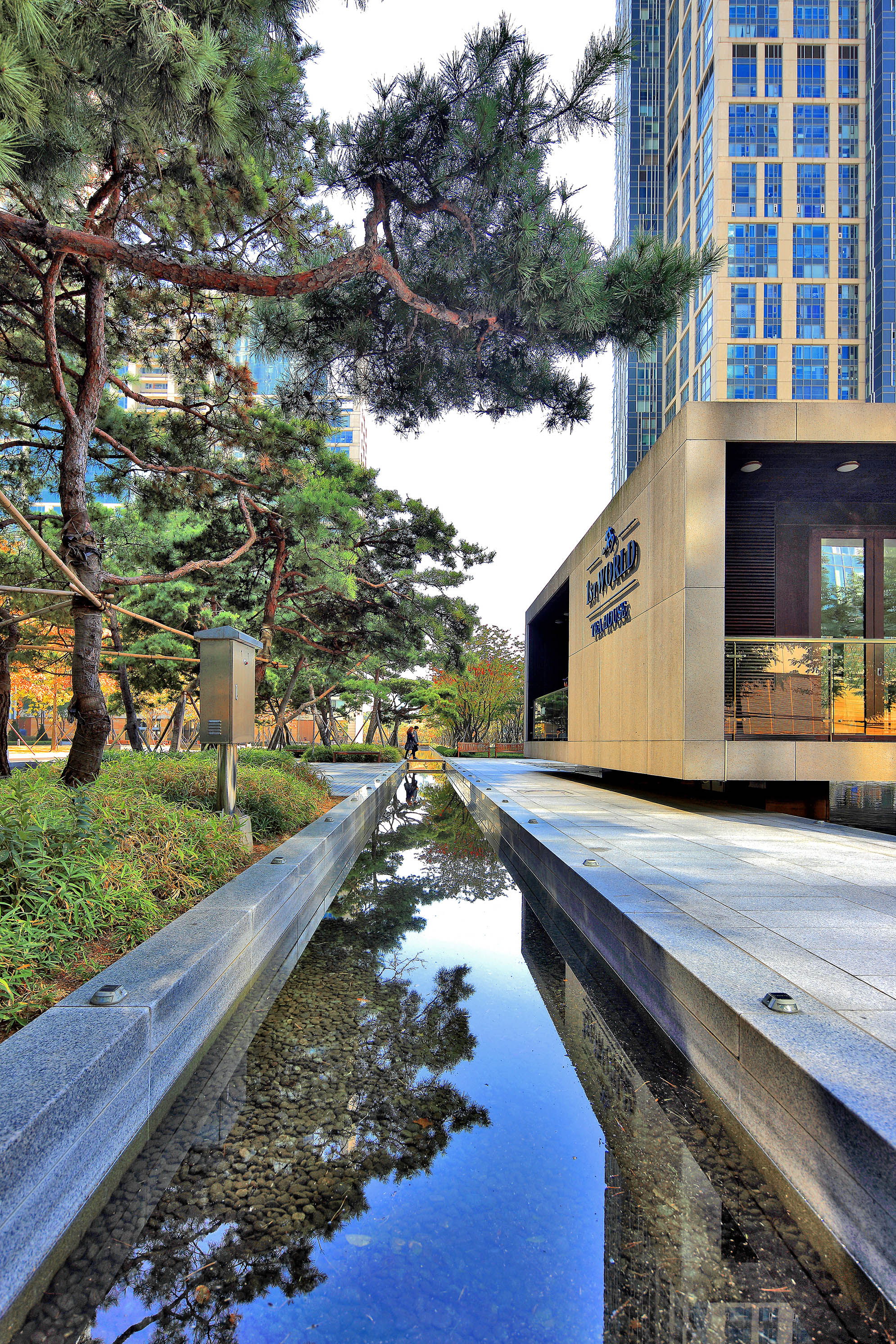 더샾 퍼스트 월드