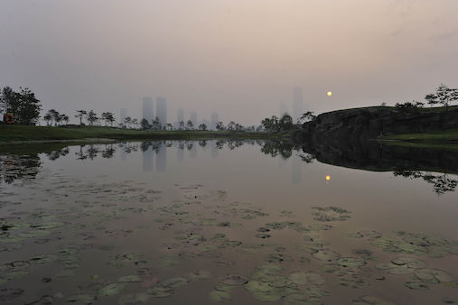잭니클라우스 골프클럽 코리아